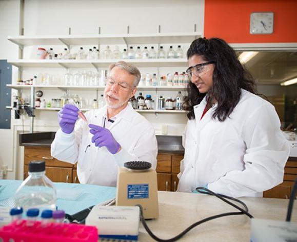 Student and faculty conducting research in the lab